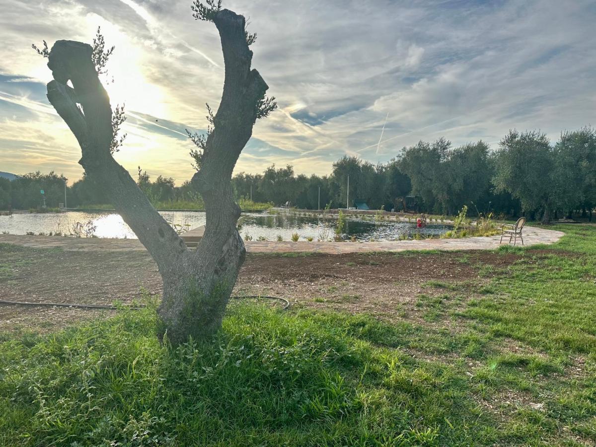 Agriturismo Biorussi كاربينو المظهر الخارجي الصورة