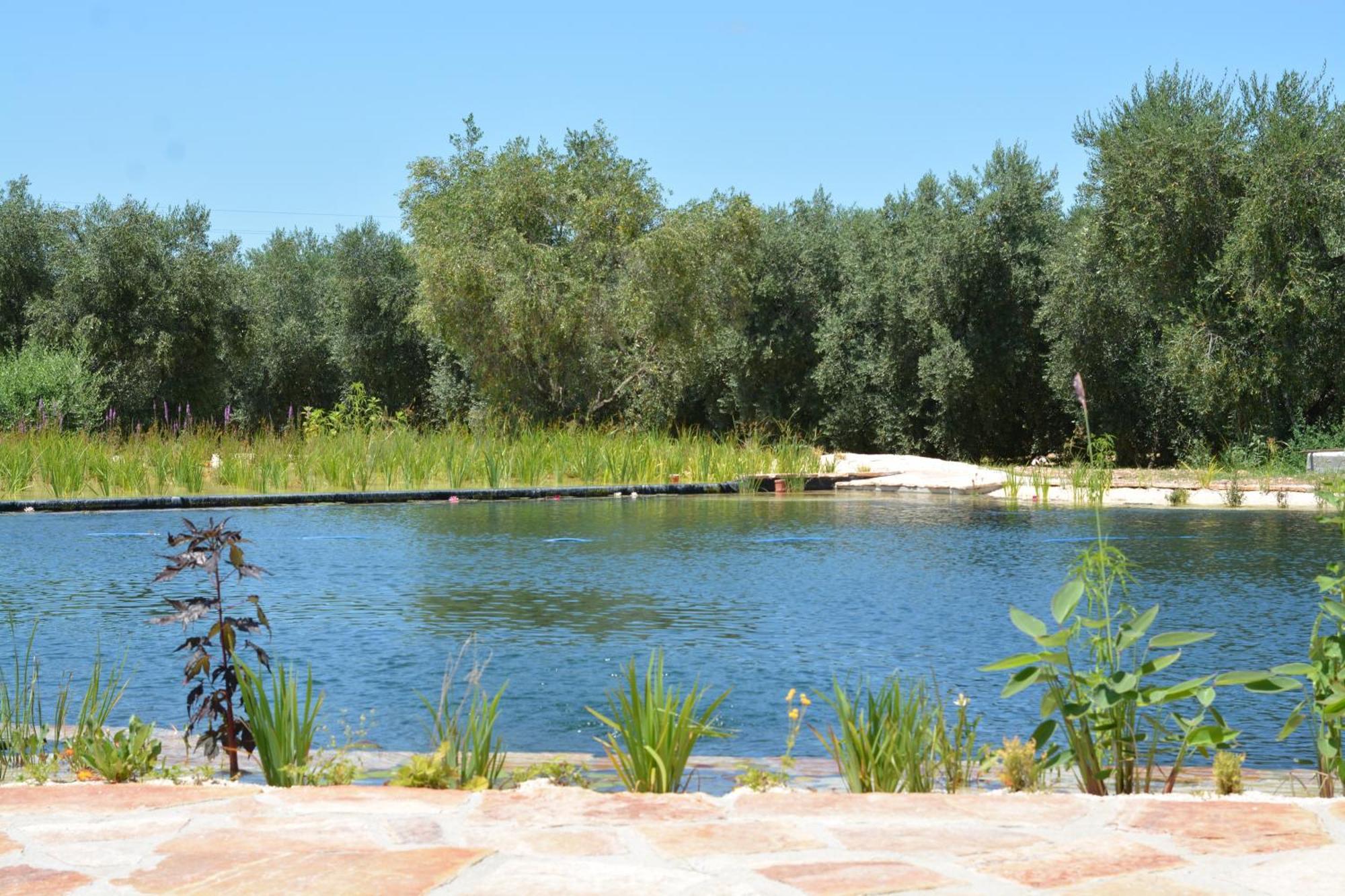 Agriturismo Biorussi كاربينو المظهر الخارجي الصورة